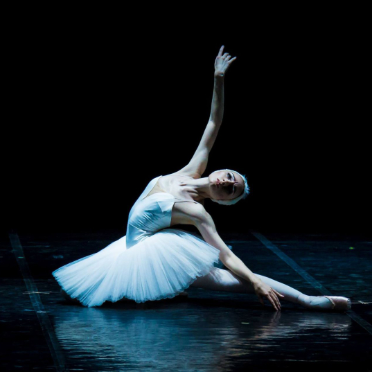 Искусство и карантин: опера, балет и мюзиклы онлайн