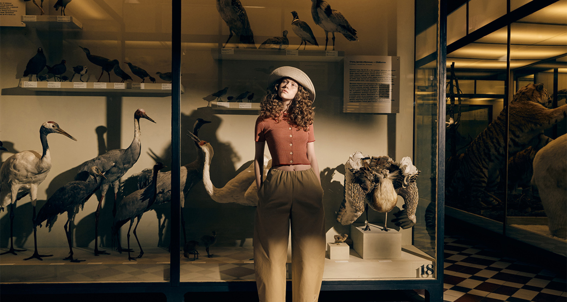 Изделия на фото